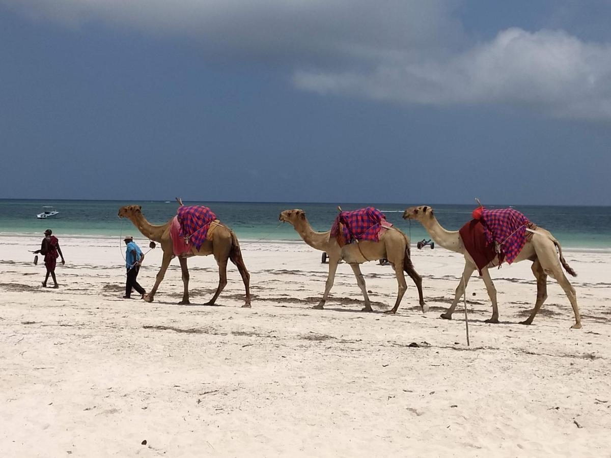 Zarafa House Bed & Breakfast Diani Beach Bagian luar foto